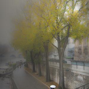 Atmosfere parigine - Lungosenna Atmosfere parigine - Lungosenna