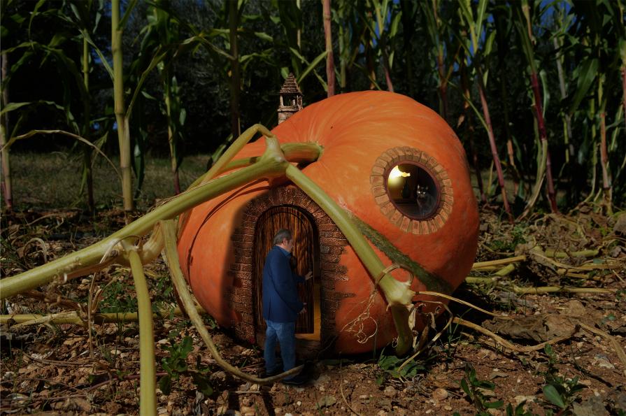 The pumpkin of the house