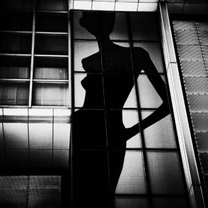 Exposition internationale de photographies et de sculptures Exposition internationale de photographies et de sculptures