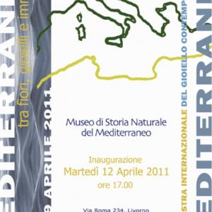 Mediterraneo Mediterraneo