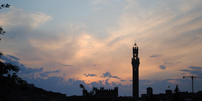 Half-Tuition Scholarships for Spring 2012 at the Siena Art Institute Half-Tuition Scholarships for Spring 2012 at the Siena Art Institute