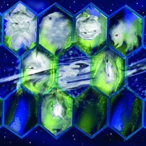 " BIOUNICITA' " di Vito Mazzocchi