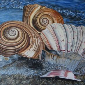 Conchiglie