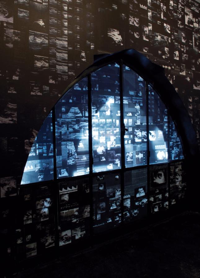 AMNIOTICcell AMNIOTICcell