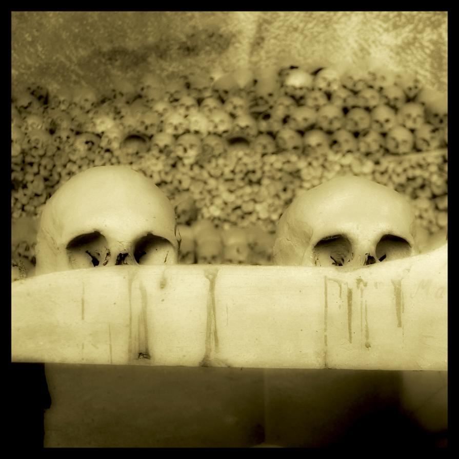 SKULLS 14 - Augusto De Luca photographer