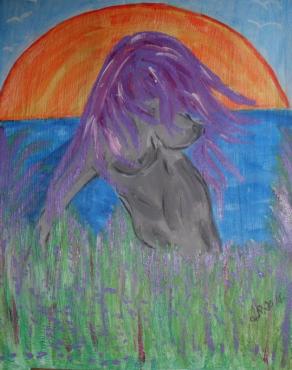 campo di lavanda campo di lavanda