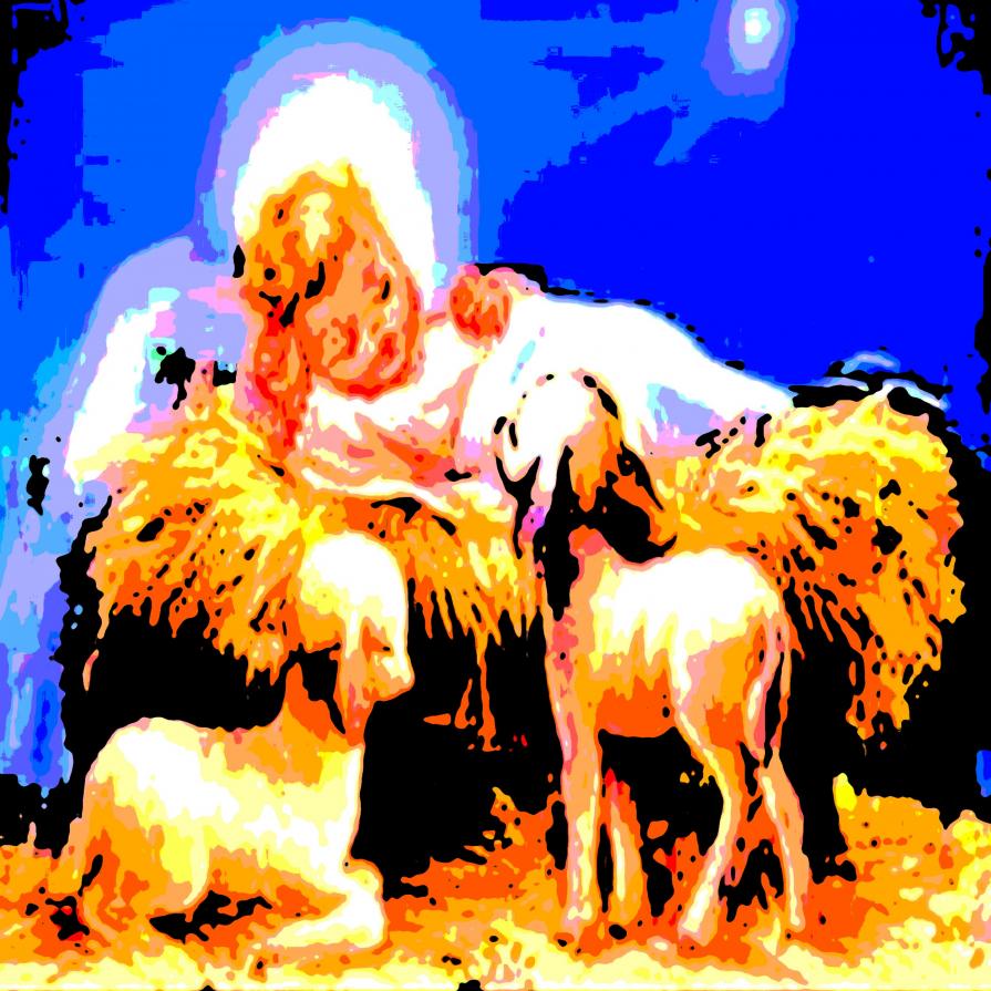 GESU' BAMBINO SIA LA STELLA CHE TI GUIDI LUNGO IL DESIDERIO DELLA VITA PRESENTE !!