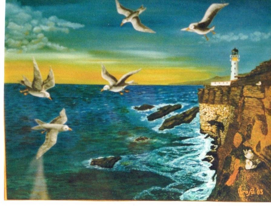 LG 0082 - Risveglio di Gabbiani