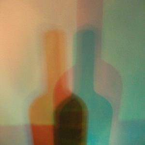 I colori della biodiversità -2015-omaggio a Giorgio Morandi