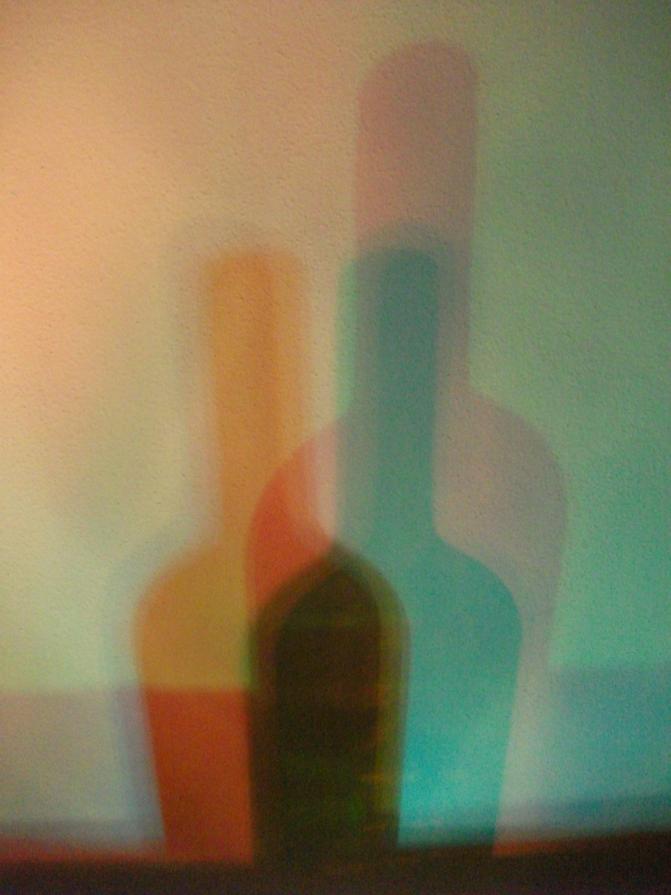 I colori della biodiversità -2015-omaggio a Giorgio Morandi