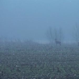 Hierarchy rules - video Installation/part of bypass installation, (project Bypass)