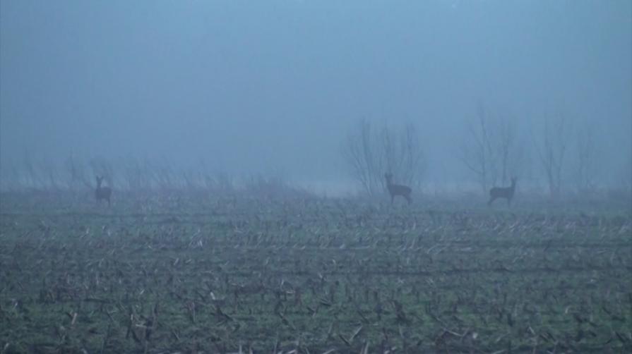 Hierarchy rules - video Installation/part of bypass installation, (project Bypass)