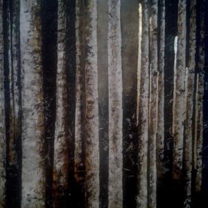 Moonlight Shadow Moonlight Shadow