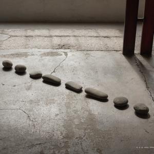 SOS-Nature - dettaglio 1