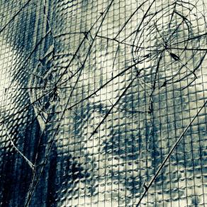 Anima indistruttibile   ( Indestructible soul ) 