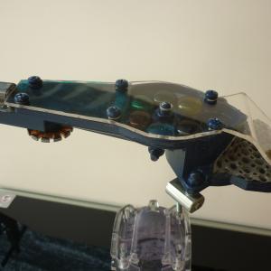 IL CACCIATORE IL CACCIATORE