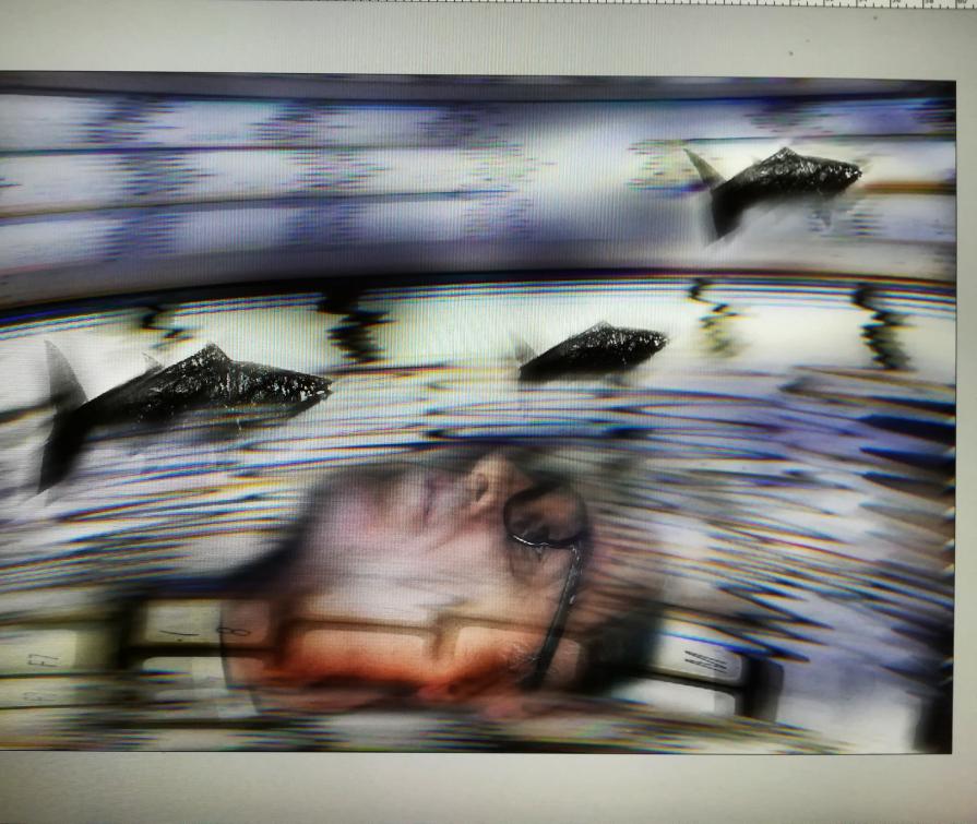 Un mare di informazioni in burrasca.