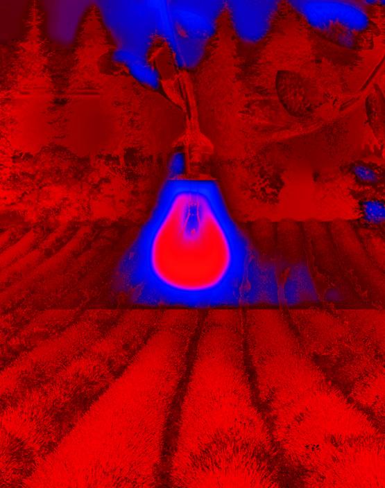 Pensati stella e ricomincia a splendere...