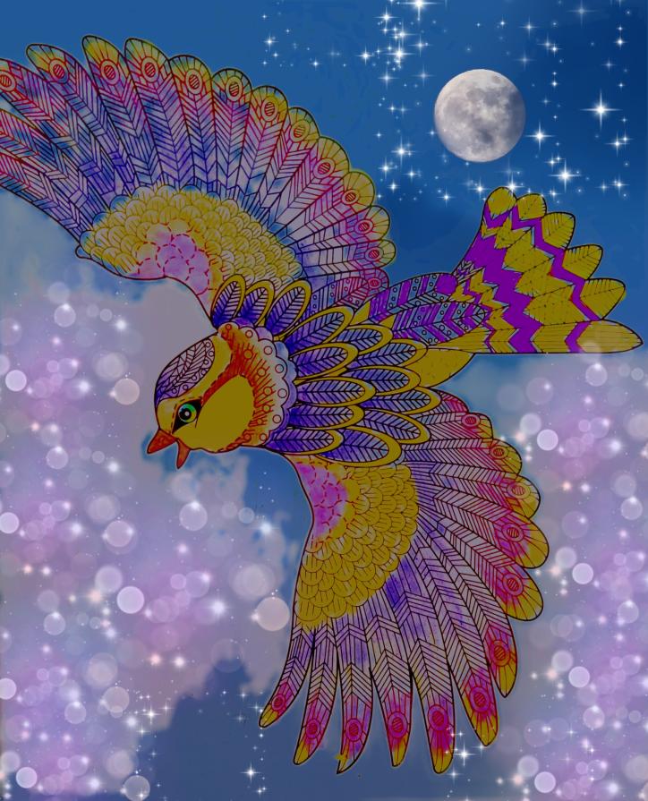 Siamo noi a decidere dove volare...