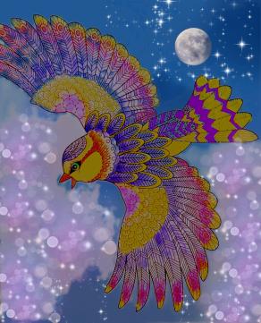 Siamo noi a decidere dove volare...