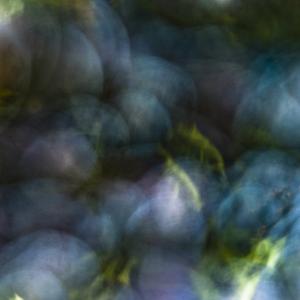 Wine, Technicolor Wine, Technicolor