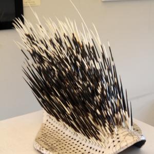 MA QUANTA GENTE C'ERA A WATERCOLOR DESIGN A MODENA 5-24 SETTEMBRE 2015