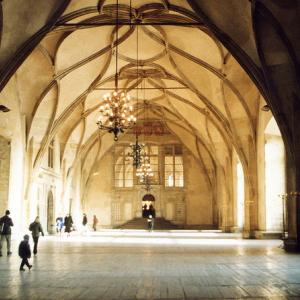 Czech Republic. Prague and Kutna Hora cold