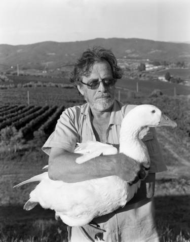 Visioni, fotografie di Lisa Kereszi, Yola Monakhov, Andres Pantoya