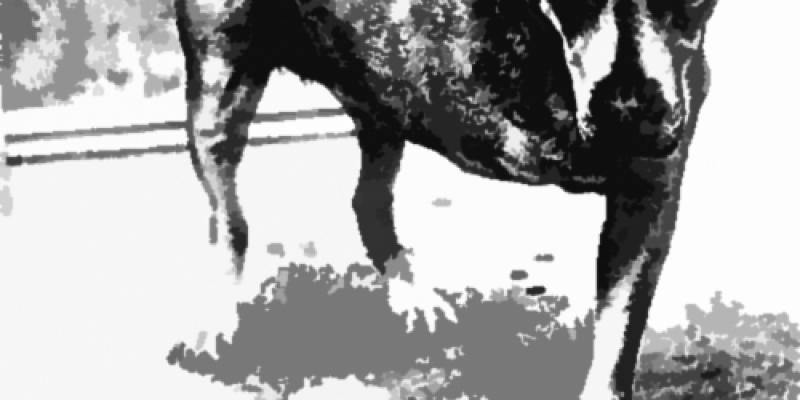 Manifesto d'arte dei Partigiani (Chi volesse aderire dovrà comunicarlo con un commento) Manifesto d'arte dei Partigiani (Chi volesse aderire dovrà comunicarlo con un commento)