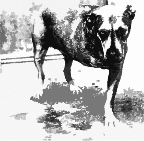 Manifesto d'arte dei Partigiani (Chi volesse aderire dovrà comunicarlo con un commento) Manifesto d'arte dei Partigiani (Chi volesse aderire dovrà comunicarlo con un commento)