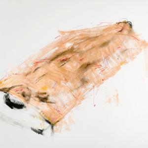  PERFORMANCE WORK SINDONE, CONTEMPORARY SHROUD