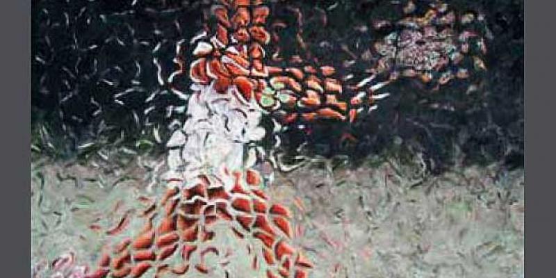 Divisioni e moltiplicazioni visive