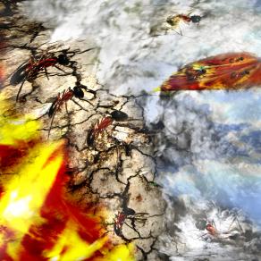 i quattro elementi. ( eppur ci salveremo)