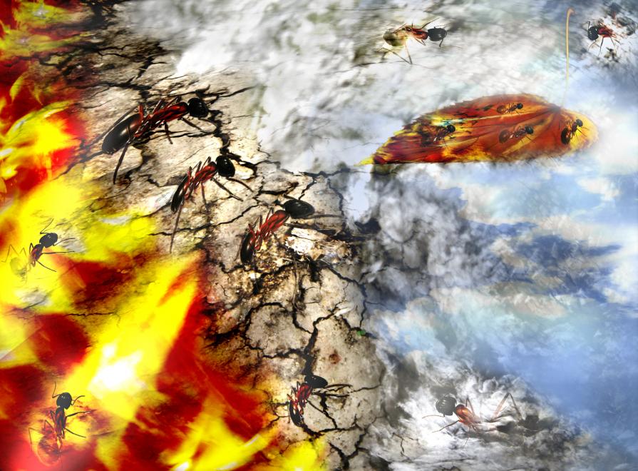 i quattro elementi. ( eppur ci salveremo) i quattro elementi. ( eppur ci salveremo)