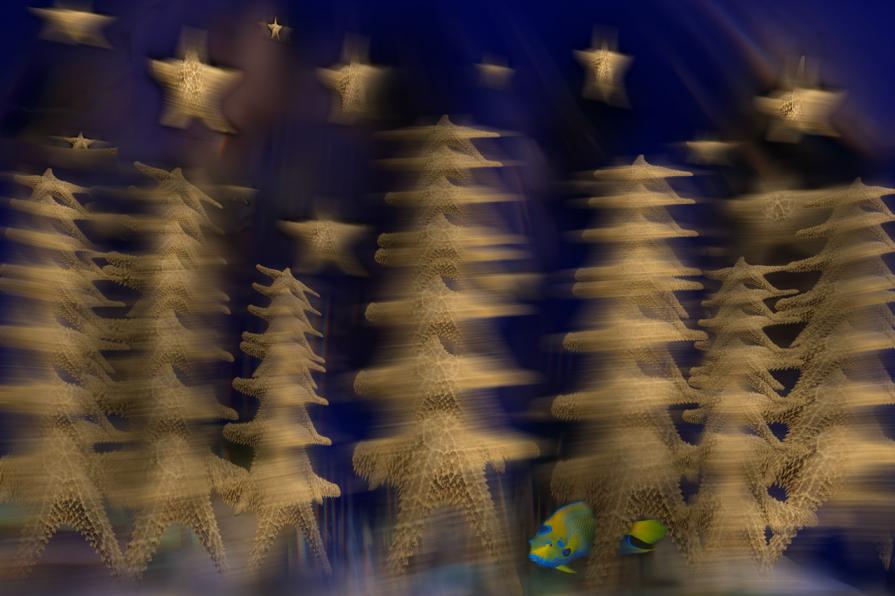 visione notturna di una citta invisibile