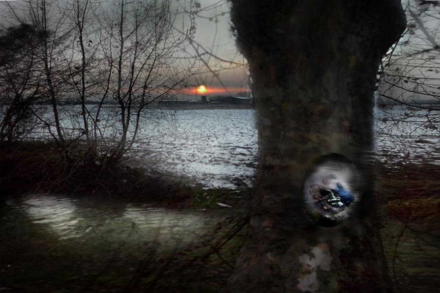 madre natura cala durante il tramonto e rinasce   il giorno dopo in un alba nuova.