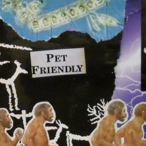 Pet Friendly  - Artistic cardboard - particolare