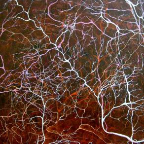 "Speranze e sentimenti"