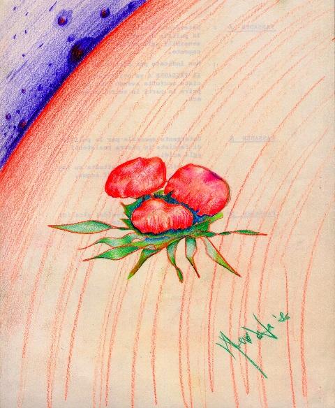 germinazioni nell'universo