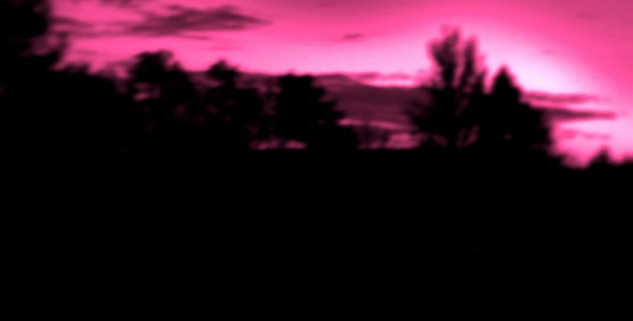 Scivolando verso la notte