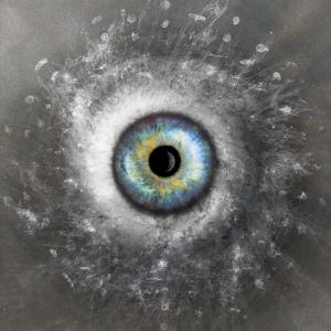 The Evolution of Species The Evolution of Species