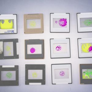 C o s m o | life forms