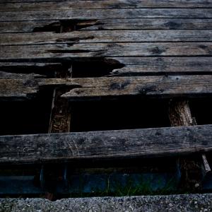 Down by The River Down by The River