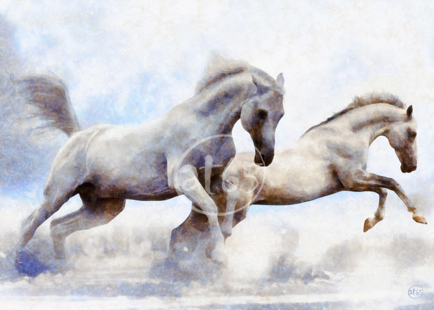 Cavalli bianchi Cavalli bianchi