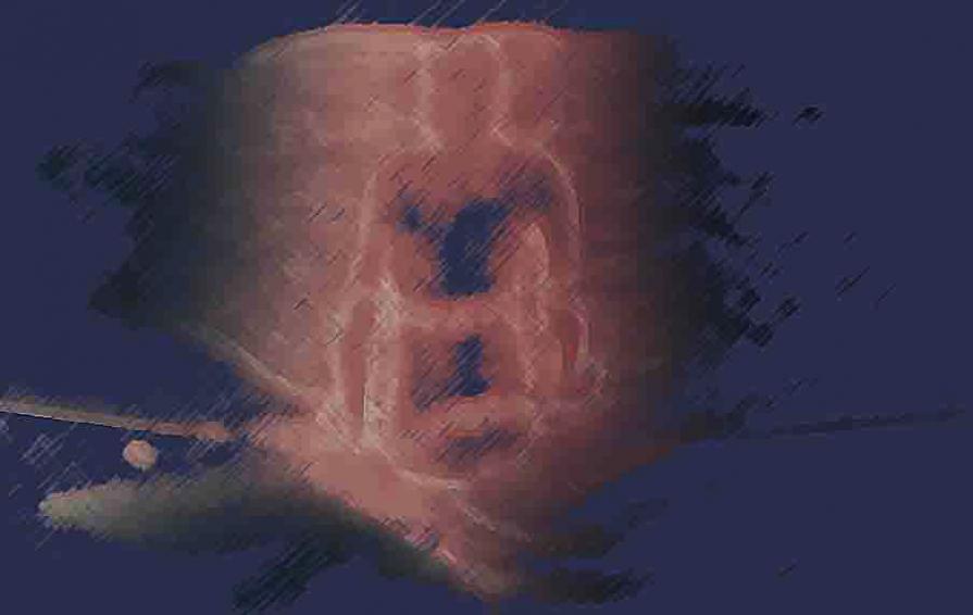 الموت في قفص حديد - Fire death in the iron cage الموت في قفص حديد - Fire death in the iron cage