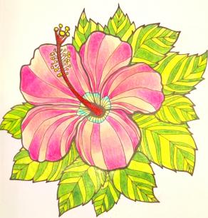 Le meraviglie della natura 6