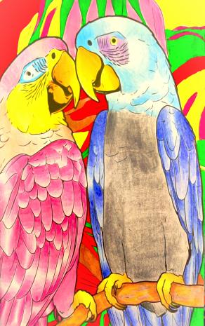 L’eco andò dal pappagallo a rimproverarlo perché parlava troppo.