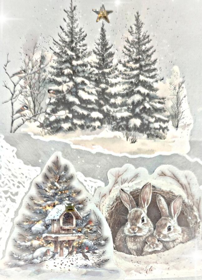 Christmas Collection... n 6