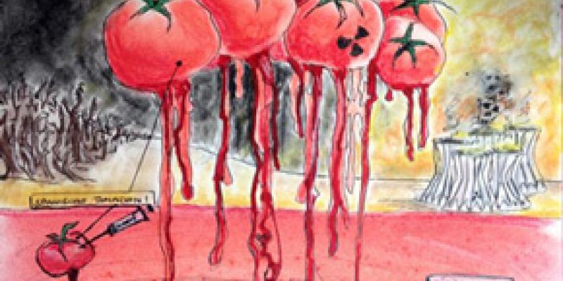 JÜRGEN BLEY - POLARISATION