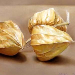 TRA REALISMO E IPERREALISMO al CLUB LA MERIDIANA DI MODENA TRA REALISMO E IPERREALISMO al CLUB LA MERIDIANA DI MODENA